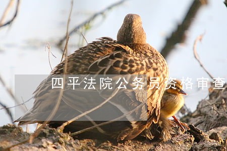 四平法院公务员资格审查 四平法院公务员资格审查