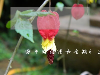 四年内信用卡逾期6次 四年内信用卡逾期6次