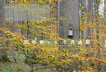 四年前13个月逾期