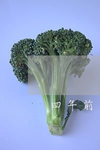 四年前一次逾期超过90天 四年前一次逾期超过90天