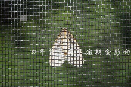四年前信用卡逾期会影响征信吗 四年前信用卡逾期会影响征信吗