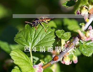 四年前逾期8次 四年前逾期8次