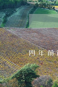 四年前逾期8次能贷款吗 四年前逾期8次能贷款吗