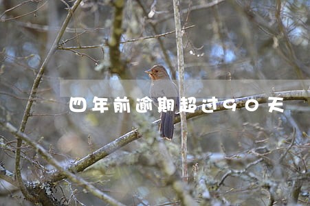 四年前逾期超过90天