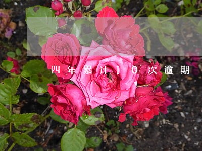 四年累计10次逾期 四年累计10次逾期