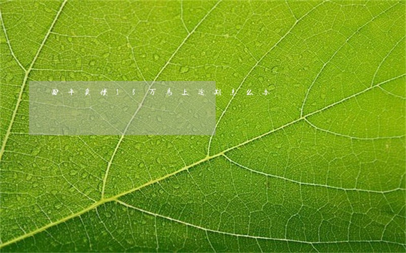 四年负债15万马上逾期怎么办 四年负债15万马上逾期怎么办