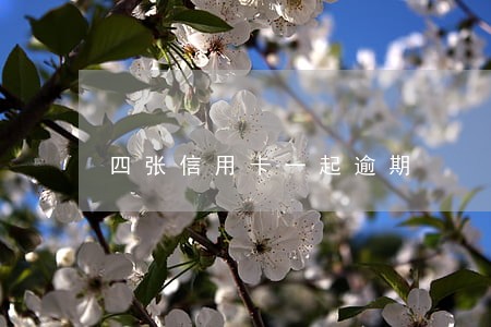 四张信用卡一起逾期