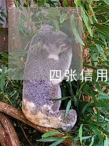 四张信用卡二十多万逾期怎么办