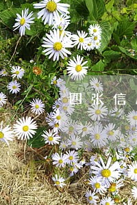 四张信用卡逾期二十万 四张信用卡逾期二十万