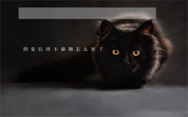 四张信用卡逾期怎么还了 四张信用卡逾期怎么还了