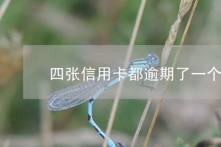 四张信用卡都逾期了一个月 四张信用卡都逾期了一个月