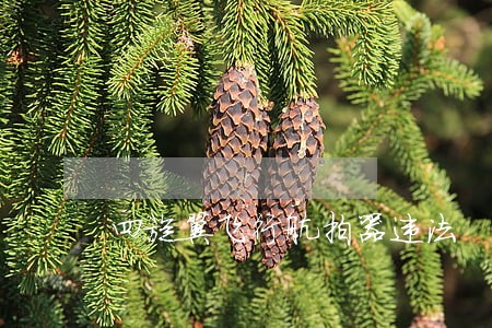 四旋翼飞行航拍器违法 四旋翼飞行航拍器违法