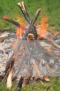 四月网贷全面逾期 四月网贷全面逾期