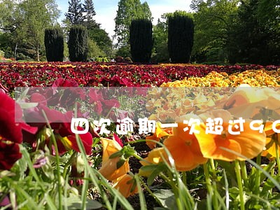 四次逾期一次超过90 四次逾期一次超过90