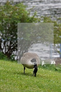 四类群体逾期信用记录 四类群体逾期信用记录