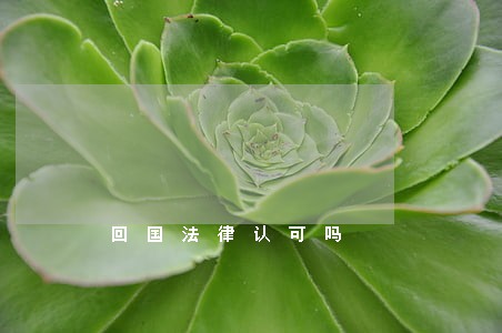 回国法律认可吗 回国法律认可吗