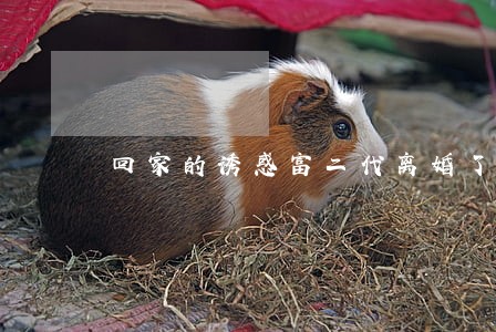 回家的诱惑富二代离婚了 回家的诱惑富二代离婚了