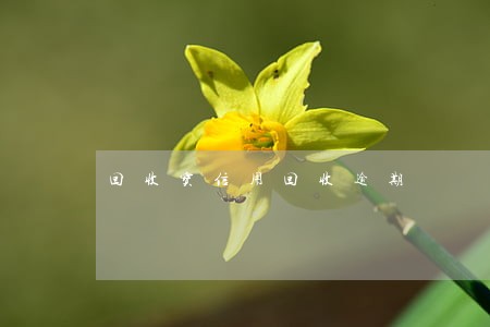 回收宝信用回收逾期 回收宝信用回收逾期