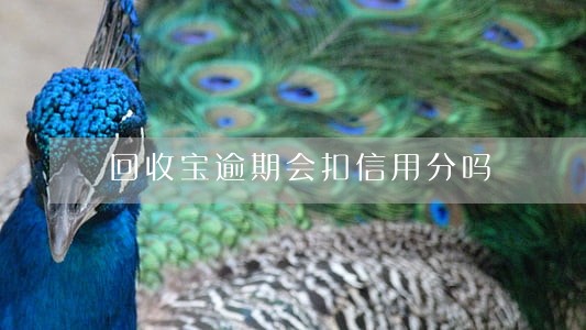 回收宝逾期会扣信用分吗 回收宝逾期会扣信用分吗