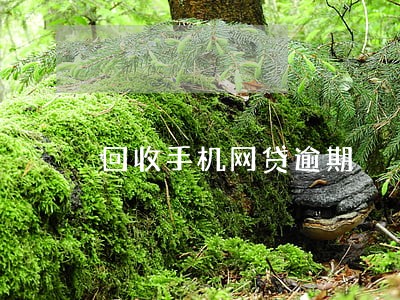 回收手机网贷逾期 回收手机网贷逾期