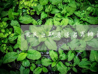 回民区职务侵占罪辩护律师费用 回民区职务侵占罪辩护律师费用