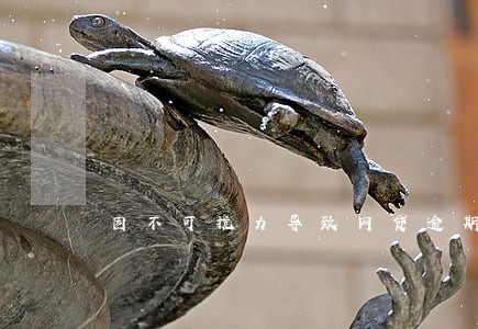 因不可抗力导致网贷逾期 因不可抗力导致网贷逾期