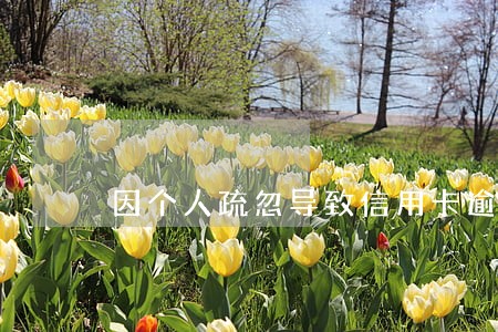 因个人疏忽导致信用卡逾期 因个人疏忽导致信用卡逾期