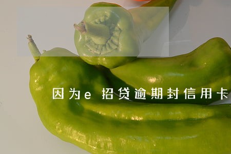 因为e招贷逾期封信用卡