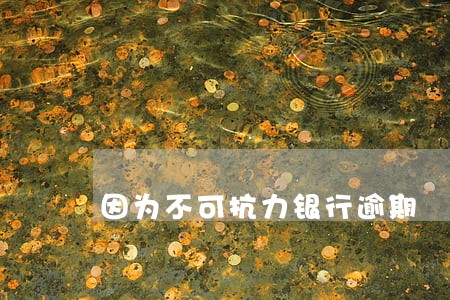 因为不可抗力银行逾期