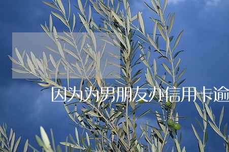 因为为男朋友办信用卡逾期谁还 因为为男朋友办信用卡逾期谁还
