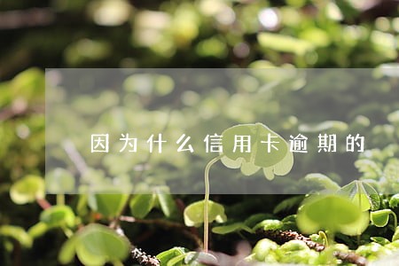 因为什么信用卡逾期的 因为什么信用卡逾期的