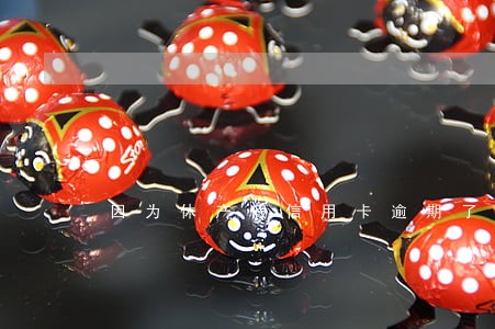 因为休产假信用卡逾期了 因为休产假信用卡逾期了