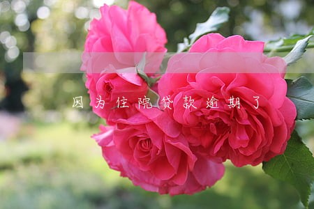 因为住院贷款逾期了 因为住院贷款逾期了