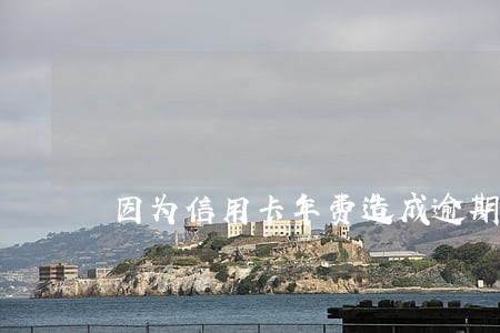 因为信用卡年费造成逾期 因为信用卡年费造成逾期