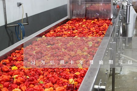 因为信用卡年费逾期可以申诉吗 因为信用卡年费逾期可以申诉吗