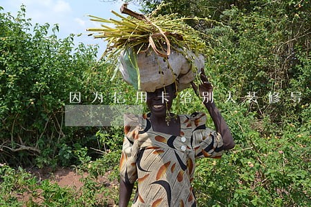 因为信用卡给别人装修导致逾期 因为信用卡给别人装修导致逾期
