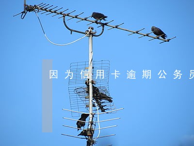 因为信用卡逾期公务员政审被刷 因为信用卡逾期公务员政审被刷