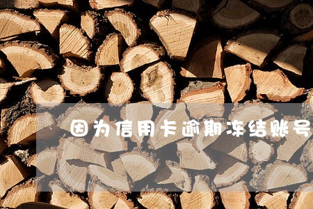 因为信用卡逾期冻结账号严重吗