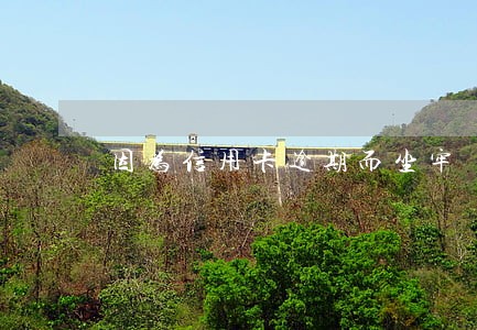 因为信用卡逾期而坐牢 因为信用卡逾期而坐牢