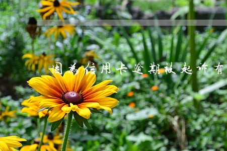 因为信用卡逾期被起诉有案底 因为信用卡逾期被起诉有案底