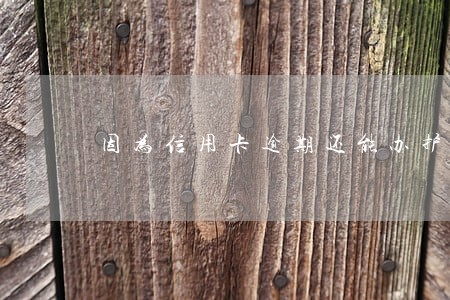 因为信用卡逾期还能办护照吗 因为信用卡逾期还能办护照吗