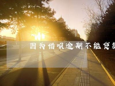 因为借呗逾期不能贷款 因为借呗逾期不能贷款