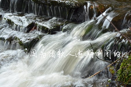 因为借款人逾期倒闭的p2p 因为借款人逾期倒闭的p2p
