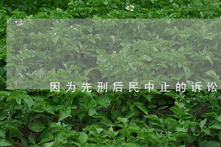 因为先刑后民中止的诉讼