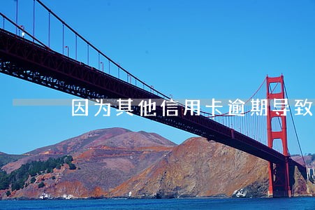 因为其他信用卡逾期导致