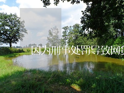 因为刑事处罚导致网贷逾期