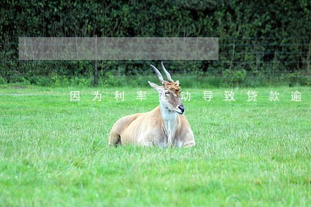 因为利率变动导致贷款逾期