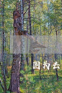 因为去年疫情导致信用卡逾期 因为去年疫情导致信用卡逾期