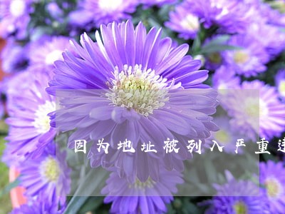 因为地址被列入严重违法 因为地址被列入严重违法