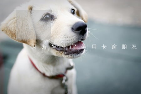 因为坐牢了信用卡逾期怎么办 因为坐牢了信用卡逾期怎么办